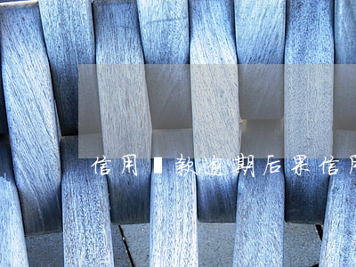 信用貸款逾期后果(信用貸款逾期后果是什么)