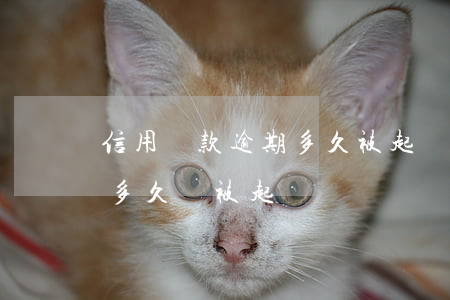 信用貸款逾期多久被起訴(拖欠銀行信用貸款多久會被起訴)