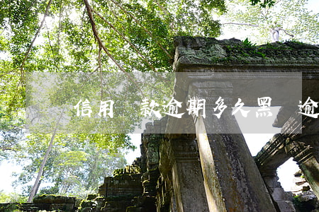 信用貸款逾期多久黑戶(逾期黑戶還能貸款嗎)