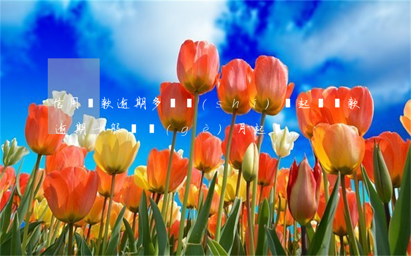 信用貸款逾期多長時(shí)間起訴(貸款逾期一般幾個(gè)月起訴)