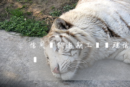 信用貸款逾期工單處理(信用貸款逾期了怎么辦)