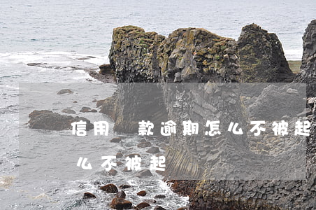 信用貸款逾期怎么不被起訴(信用貸款逾期怎么不被起訴)
