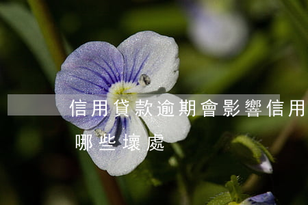 信用貸款逾期會影響信用卡嗎（信用卡逾期有哪些壞處）
