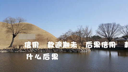 信用貸款逾期未還后果(信用貸款過期沒還有什么后果)