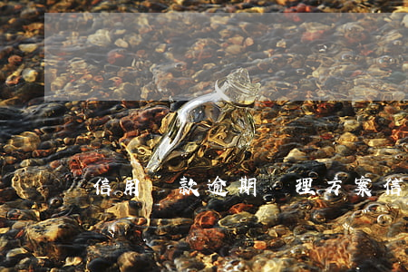 信用貸款逾期處理方案(信貸逾期怎么辦)