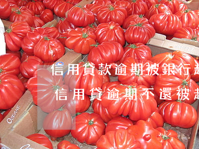 信用貸款逾期被銀行起訴,確實還不起,怎么辦（信用貸逾期不還被起訴）