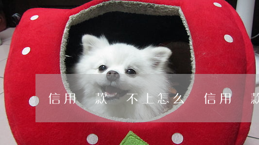 信用貸款還不上怎么辦 信用貸款還不上怎么辦