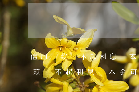 信用貸款還不起利息還本金可以嗎-信用貸款還不起利息還本金可以嗎怎么辦