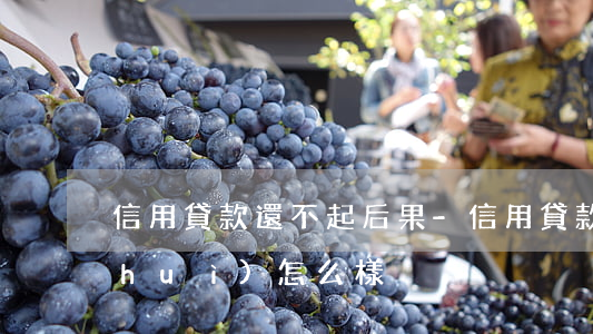 信用貸款還不起后果-信用貸款還不起會(huì)怎么樣