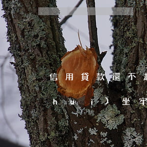 信用貸款還不起的后果(信用貸款還不起會(huì)坐牢嗎)