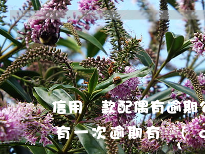 信用貸款配偶有逾期(公積金貸款人配偶征信有一次逾期有關(guān)系嗎)