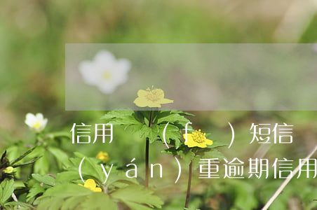 信用貸發(fā)短信說(shuō)我嚴(yán)重逾期（信用貸發(fā)短信說(shuō)我嚴(yán)重逾期）