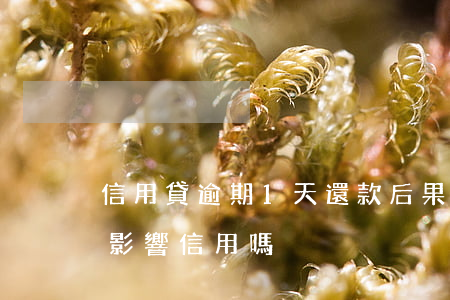 信用貸逾期1天還款后果(逾期一天還了款會影響信用嗎)