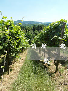 信用貸逾期一次能不能貸-信用卡逾期可以貸款