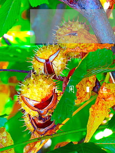 信用貸逾期多久起訴 信用貸逾期多久起訴