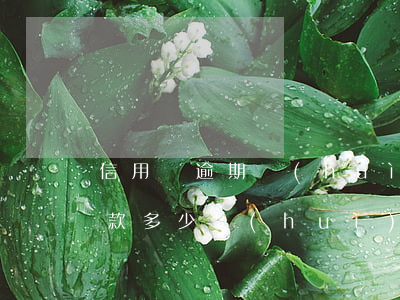 信用貸逾期會(huì)坐牢么(信用貸款欠款多少會(huì)坐牢)