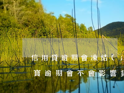 信用貸逾期會凍結(jié)支付寶嗎(支付寶逾期會不會影響貸款)