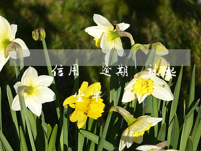 信用貸逾期會被起訴嗎(信用貸款逾期被起訴會坐牢嗎)