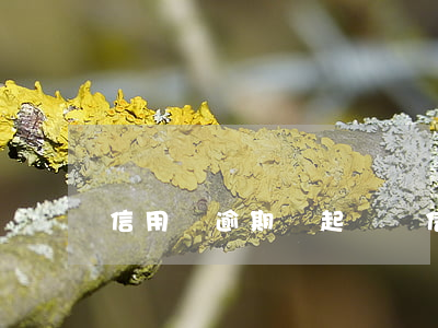 信用貸逾期會起訴嗎(信用貸逾期會起訴嗎)