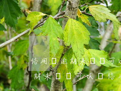 信用貸逾期未還還可以辦信用卡-信用貸逾期未還還可以辦信用卡嗎