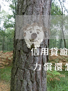 信用貸逾期無力償還款(信用貸款逾期了沒能力償還怎么辦)