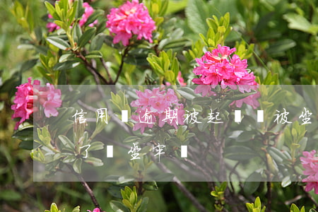 信用貸逾期被起訴會被坐牢嗎(信用貸款逾期了會坐牢嗎)
