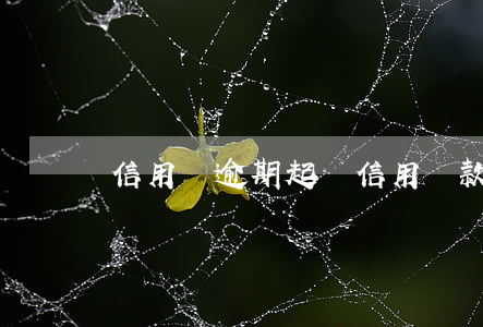 信用貸逾期起訴(信用貸款起訴)