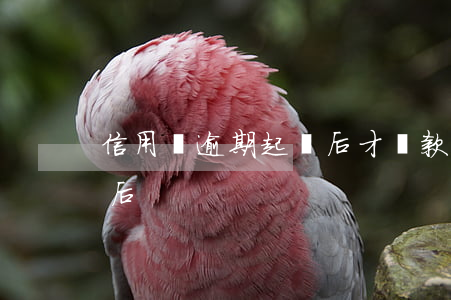 信用貸逾期起訴后才還款-貸款逾期被起訴后
