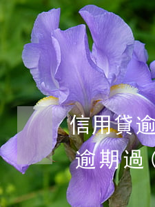 信用貸逾期過(guò)可以貸嗎-信用卡逾期過(guò)還能貸款嗎?