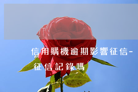 信用購機逾期影響征信-信用購機逾期影響征信記錄嗎