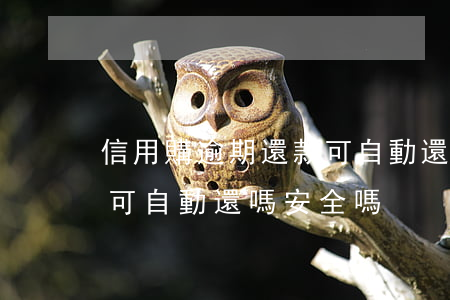 信用購逾期還款可自動還嗎 信用購逾期還款可自動還嗎安全嗎