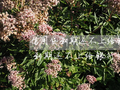 信用贷到期还不上给银行协商还款-信用贷到期还不上给银行协商还款有用吗