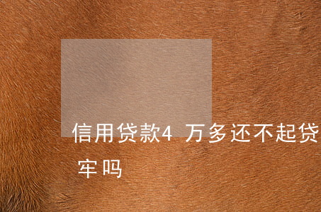 信用贷款4万多还不起 贷款4万还不上会坐牢吗