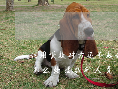 信用贷款对方还不起(信用贷款不还款怎么办? 怎么处理银行人员)