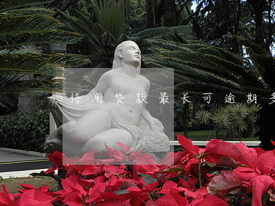 信用贷款最长可逾期多久(贷款逾期宽限几天)