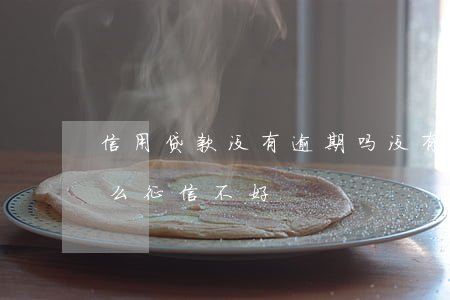 信用贷款没有逾期吗(没有逾期没有贷款为什么征信不好)