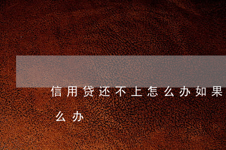 信用贷还不上怎么办(如果信用贷款还不上怎么办)
