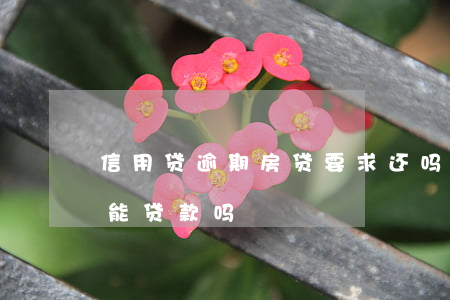 信用贷逾期房贷要求还吗(信用贷款逾期了还能贷款吗)