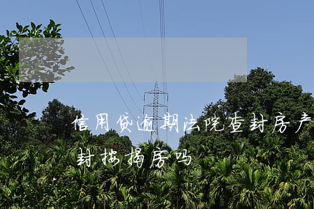 信用贷逾期 法院查封房产（信用卡逾期有权查封按揭房吗）