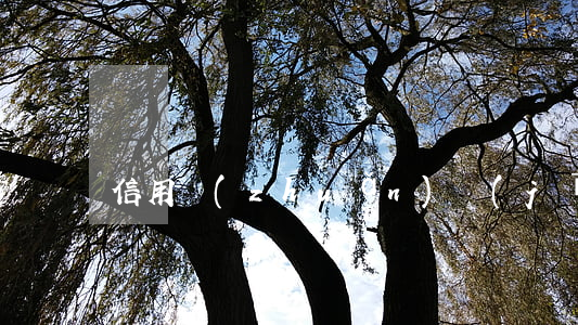 信用轉(zhuǎn)機(jī)逾期