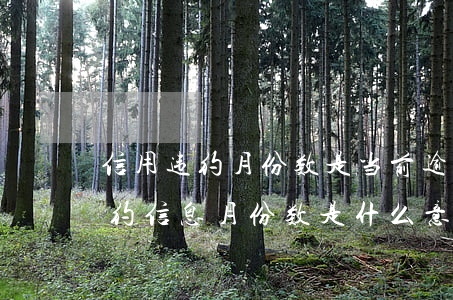 信用违约月份数是当前逾期天数吗-征信违约信息月份数是什么意思