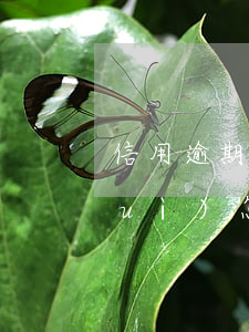 信用逾期3天還款嗎(還款逾期了3 天會(huì)怎樣)
