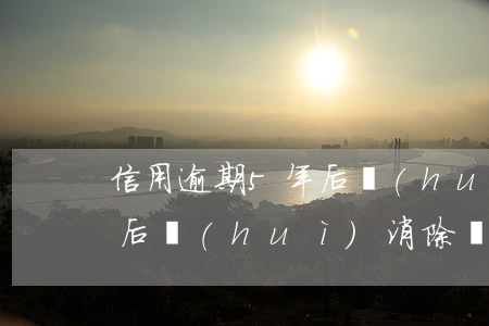信用逾期5年后會(huì)清嗎(逾期5年后會(huì)消除嗎)