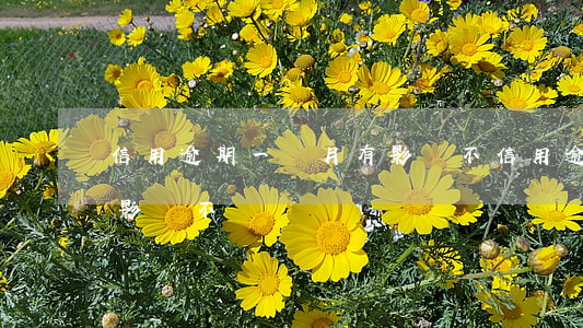 信用逾期一個月有影響不 信用逾期一個月有影響不