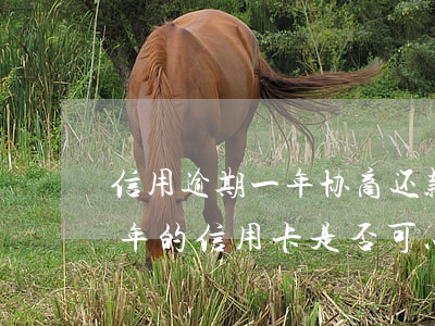 信用逾期一年协商还款还可以用吗-逾期一年的信用卡是否可以去协商分期