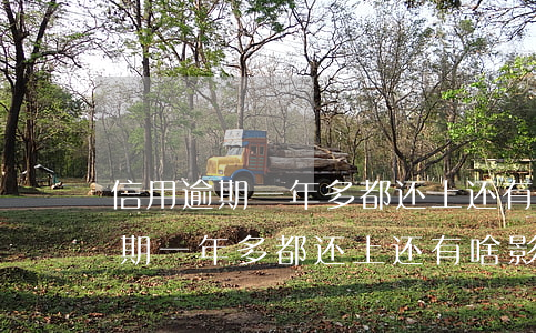 信用逾期一年多都还上还有啥影响-信用逾期一年多都还上还有啥影响吗