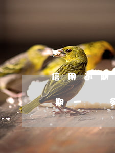 信用逾期一萬多會有什么樣的后果-信用逾期一萬多會有什么樣的后果呢