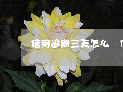 信用逾期三天怎么辦信用卡(信用卡 逾期 三天)