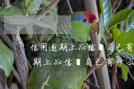 信用逾期上征信對自己有什么影響-信用逾期上征信對自己有什么影響嗎