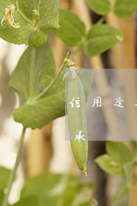信用逾期上門簽還款承諾(信用卡逾期簽還款承諾)